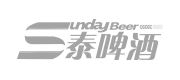 三泰啤酒品牌标志画册设计