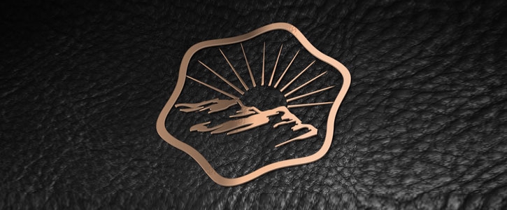 电器公司标志设计：以科技为魂，塑简约质感视觉符号