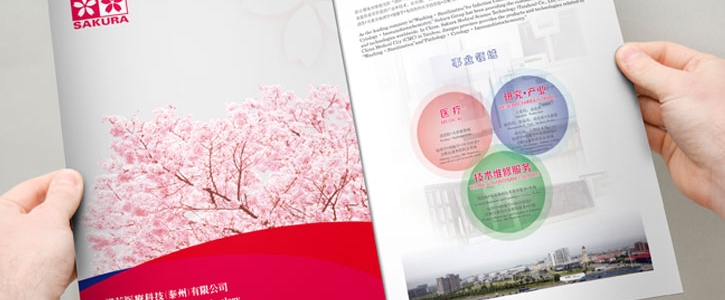 宣传单页设计：以颜值吸睛，以内容传效，打造自带引流力的宣传载体